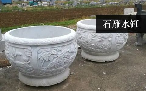 水缸魚缸